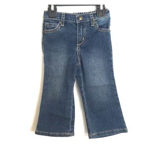 Crazy 8 Bootcut Jeans
